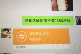 桐城专业要账公司